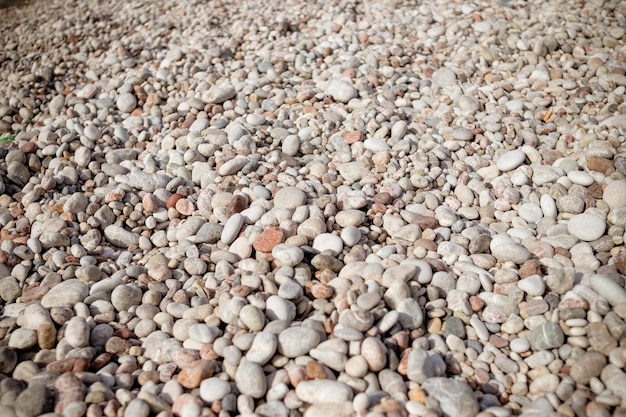 Fundo de textura de seixos redondos suaves Pebble sea beach closeup seixo branco marrom e cinza seco Pequeno fundo de pedras redondas