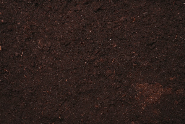 Foto fundo de textura do solo