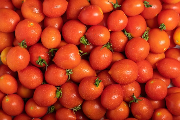 Fundo de tomate cereja vermelho cultivado organicamente