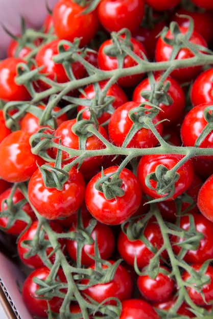 Fundo de tomate cereja