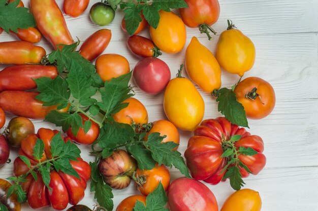 Fundo de tomates coloridos