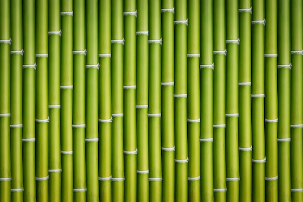 Fundo de tronco de bambu