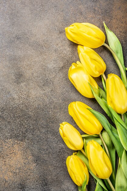 Fundo de tulipas amarelas