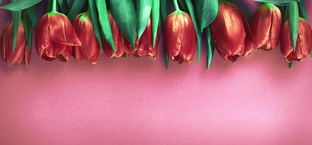 Fundo de tulipas de flores frescas cor de rosa com espaço de cópia Composição romântica Vista superior plana