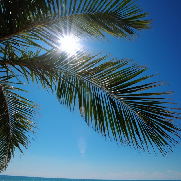 Foto fundo de uma praia de areia branca com palmeira de coco dia ensolarado e dia de nascer do sol