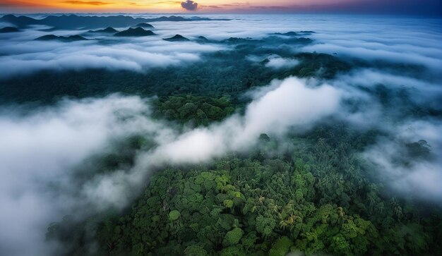 Foto fundo de uma vista panorâmica da selva amazônica nebulosa