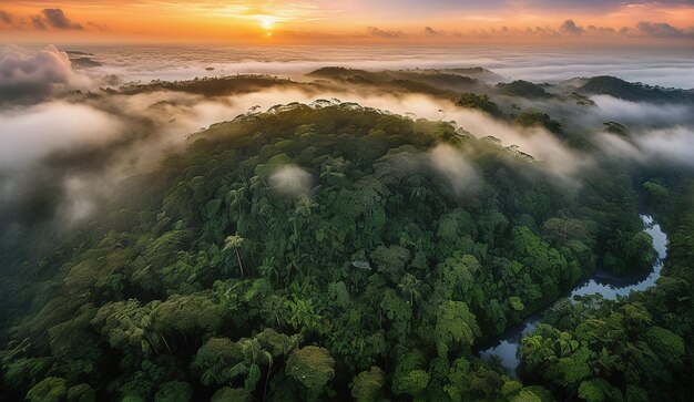 Foto fundo de uma vista panorâmica da selva amazônica nebulosa