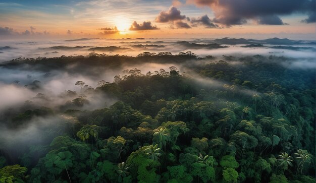 Foto fundo de uma vista panorâmica da selva amazônica nebulosa