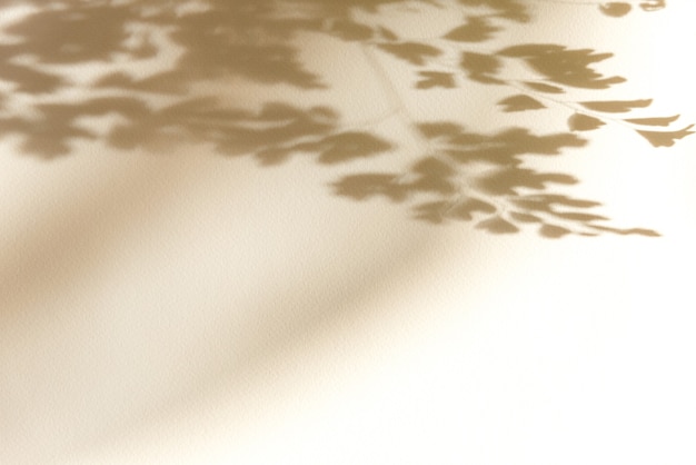 Fundo de verão da árvore de sombras em uma parede branca. branco e preto para sobrepor uma foto ou maquete