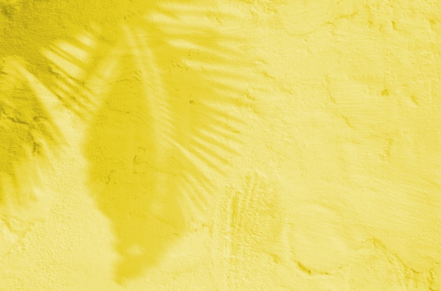 Fundo de verão de sombras ramo folhas em uma parede. Cor Pantone iluminante do ano de 2021.