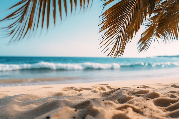 Fundo de verão desfocado de uma praia com folhas de palmeira nos cantos para espaço de produto ou cópia