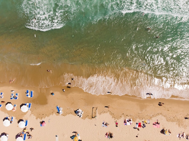 Fundo de verão