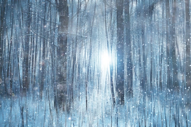 fundo desfocado de neve da floresta/paisagem de inverno floresta coberta de neve, árvores e galhos em clima de inverno