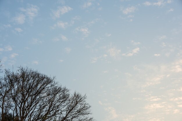 Fundo do céu e nuvens