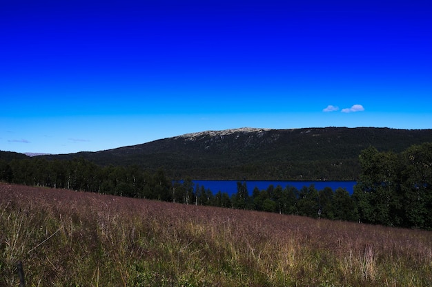 Fundo do lago da floresta da Noruega hd