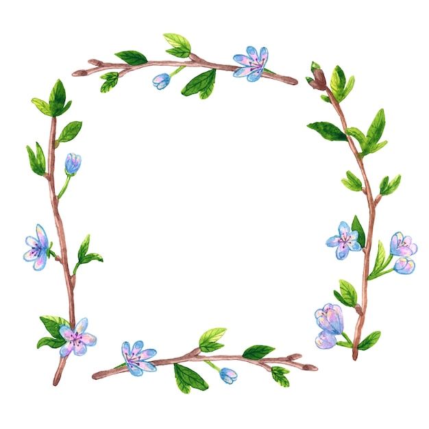 Fundo do quadro floral quadrado com primavera ramos maçã ou cerejeira. Mão-extraídas ilustração em aquarela. Isolado.