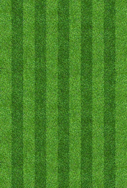 Fundo do teste padrão do campo de grama verde para o futebol e o futebol.