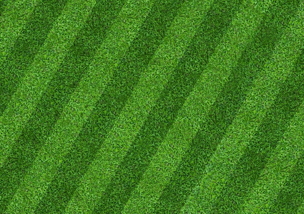 Fundo do teste padrão do campo de grama verde para o futebol e o futebol.