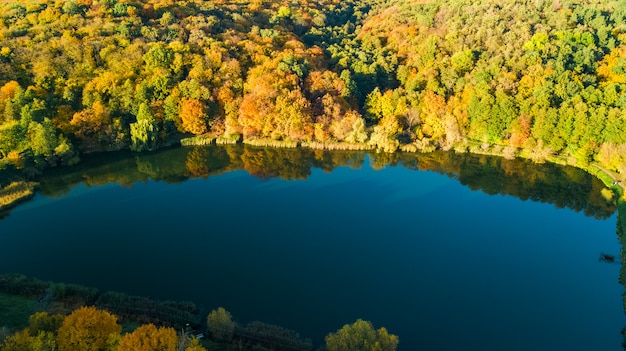 Fundo dourado do outono, vista aérea do zangão da floresta com árvores amarelas e paisagem bonita do lago de cima, Kiev, floresta de Goloseevo, Ucrânia