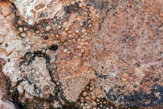 Fundo e textura de pedra de seixos