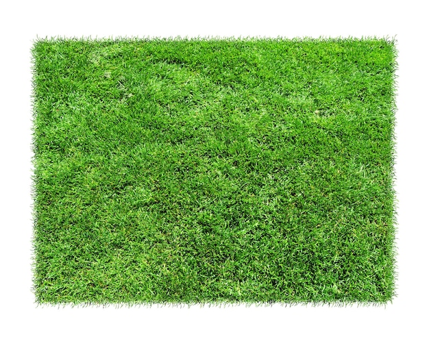 Fundo em branco vazio feito de grama verde fundo de grama verde
