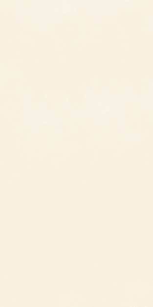 Fundo em branco