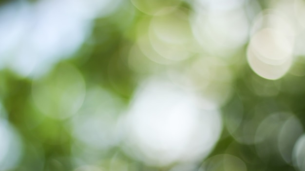 Fundo ensolarado abstrato verde natureza, Blur park com bokeh luz, natureza, jardim, primavera e verão