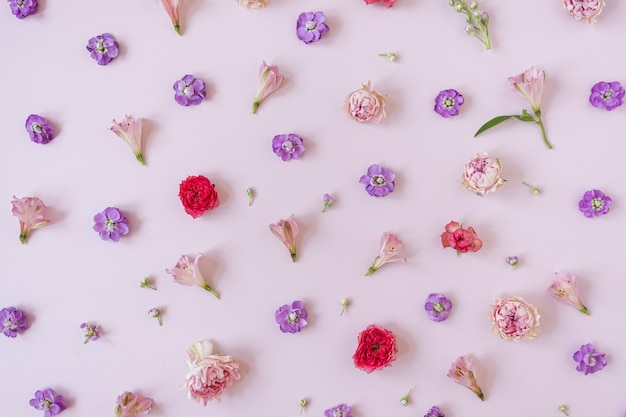 Fundo estético com flores coloridas de rosas vermelhas e rosa em fundo rosa Bela composição floral