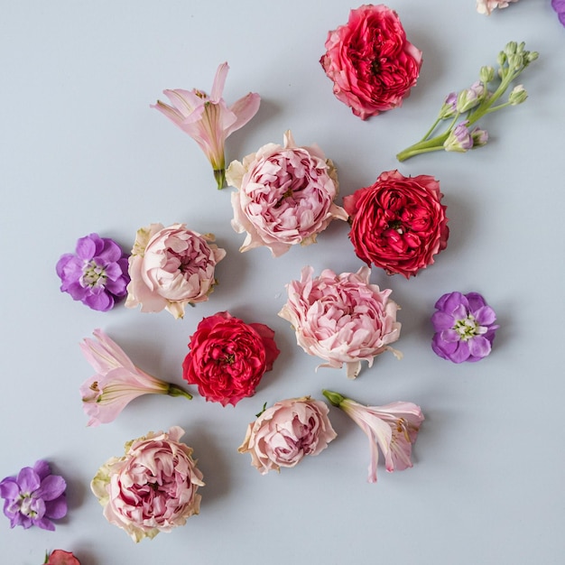 Fundo estético com flores rosas coloridas sobre fundo azul Bela composição floral