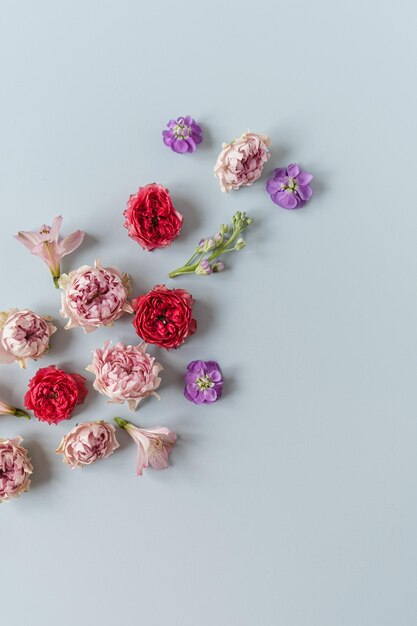 Fundo estético com flores rosas vermelhas e cor-de-rosa coloridas e flores roxas sobre fundo azul Linda composição floral