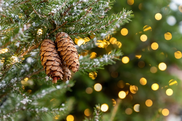 Fundo festivo de Natal com espaço de cópia. Cones no galho de árvore de peles com pano de fundo bokeh. Cartaz de ano novo para design.