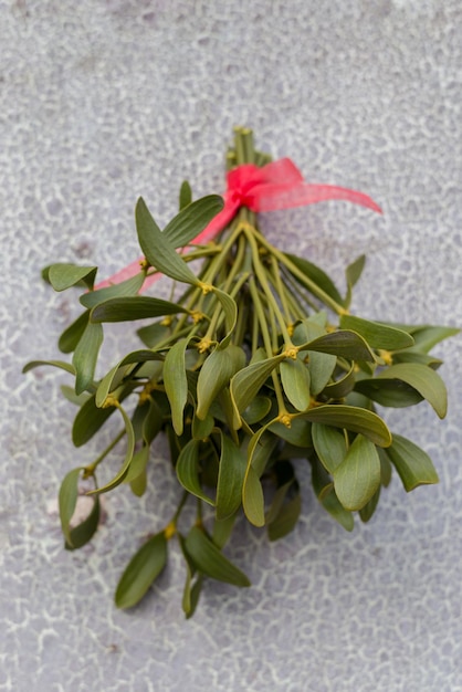 Fundo festivo de natal com visco verde pendurado no fundo da velha porta rachada