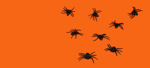 Fundo festivo para Halloween Aranhas pretas em um fundo laranja Espaço de cópia de banner Foco seletivo