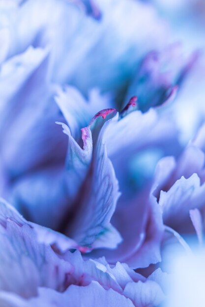 Fundo floral abstrato cravo azul pétalas de flores macro flores como pano de fundo para o projeto de férias