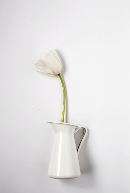 Fundo floral com tulipas vermelhas e brancas e jarro