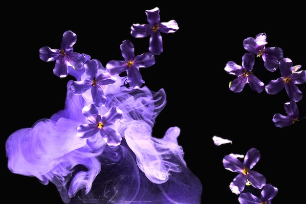Fundo lilás roxo abstrato com flores e tintas na água Pano de fundo para produtos cosméticos de perfume