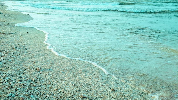 fundo lindo de areia clara e pedras na praia