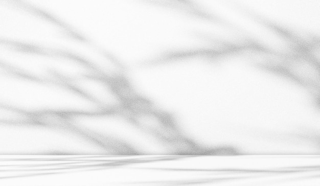 Fundo Luz Branco Sombra Estúdio Sala 3d Parede Piso Mesa Produto Estética VerãoCinza Palco Pódio Mínimo Interior Elegante Casa Textura PlataformaSobreposição Abstrato Folha Flor Modelo Vazio