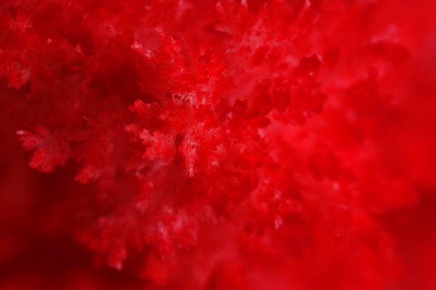 Fundo macro abstrato vermelho com cristais