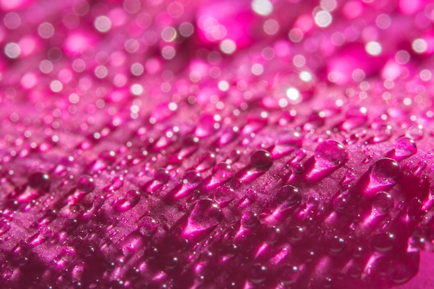 Fundo macro de gotas de água sobre pétalas de rosa