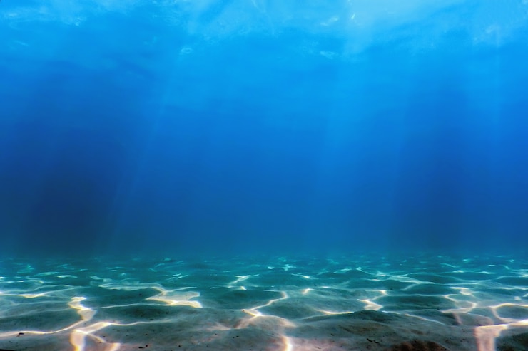 Foto fundo marinho arenoso, fundo subaquático