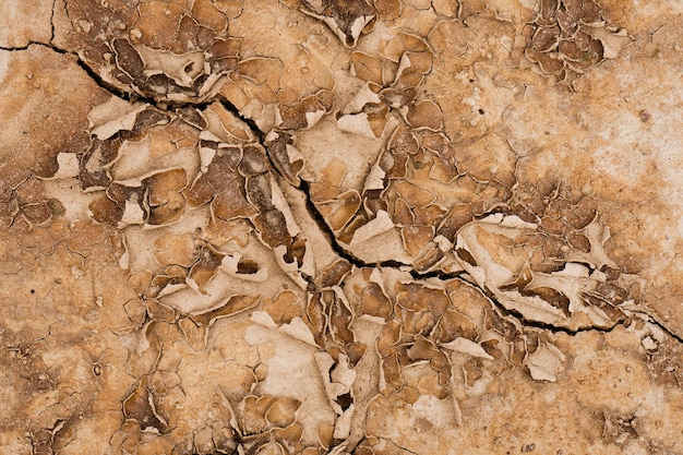 Fundo marrom grunge enferrujado. Textura abstrata de terra de argila seca com rachaduras no solo da terra