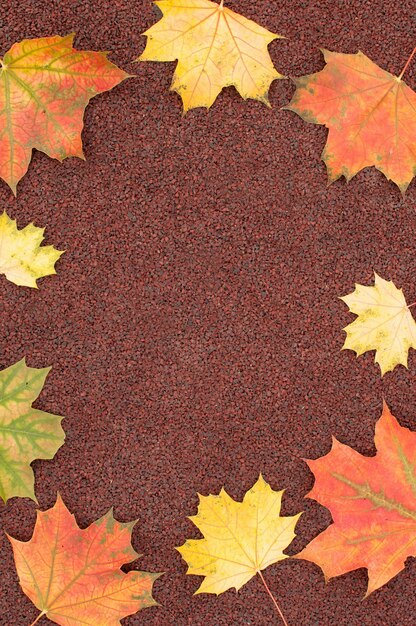 Fundo marrom outono com folhas de bordo vermelhas e amarelas nas bordas da moldura