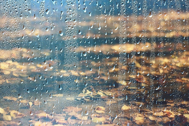 fundo molhado vidro cai outono no parque / vista da paisagem no parque outono de uma janela molhada, o conceito de tempo chuvoso em um dia de outono