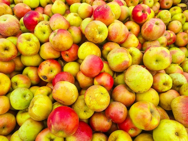 Fundo muitas maçãs amarelas e vermelhas o conceito de colheita de frutas