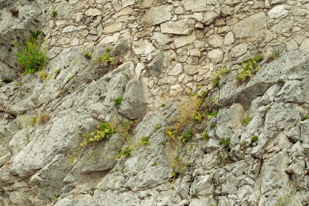 Foto fundo na forma de uma velha parede de pedra