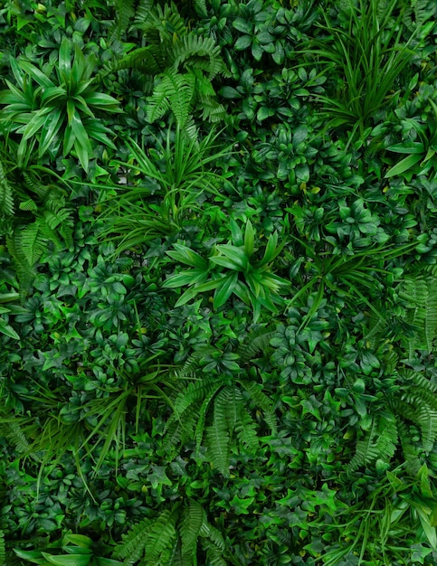 Fundo natural com folhas verdes tropicais Padrão de natureza abstrata com textura tropical