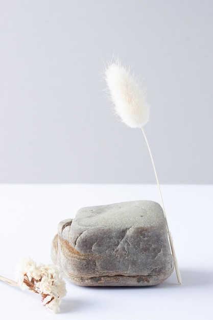 Fundo natural cosmético com pódio e flores em cinza e branco Espaço de cópia de Close Up