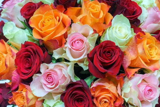 Fundo natural de lindas rosas brancas e vermelhas laranja cor-de-rosa flores frescas