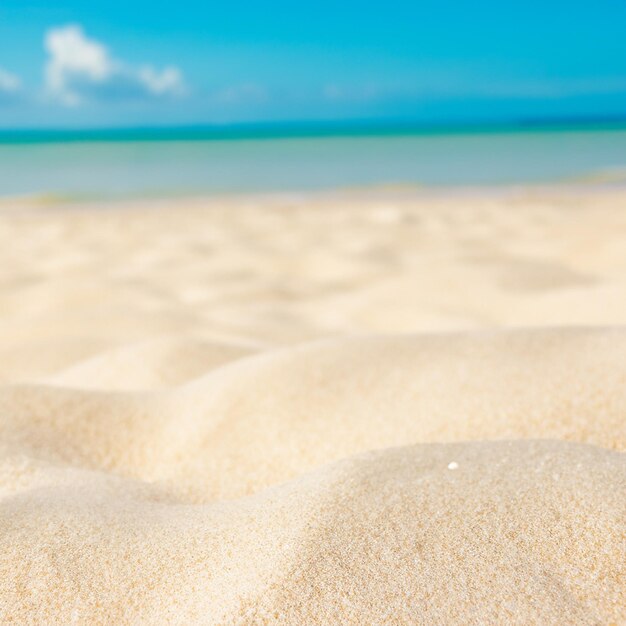 Foto fundo natural desfocado para o conceito de férias de verão